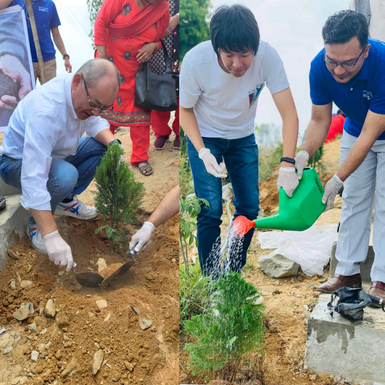 Giving Back to society: Tree Plantation Program 